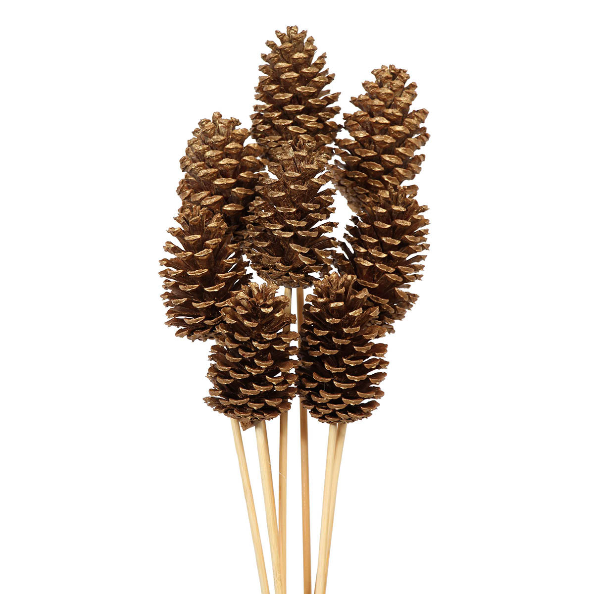 pine cones medium 7-10cm - stem - gold metallic - bulk - 150/case