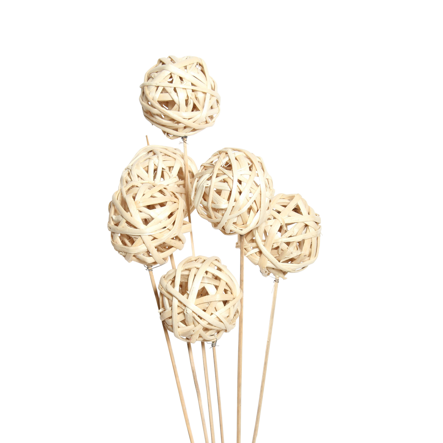 kamboi balls 8 cm (6 stem) natural