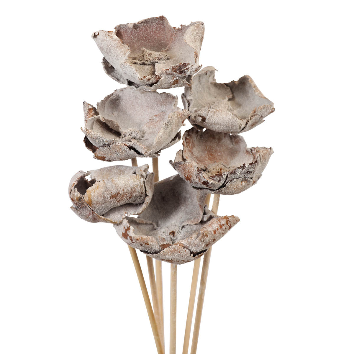 palm caps - 6 stem - snow