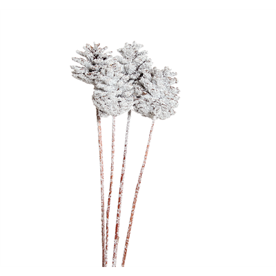 pine cones regular - 10 stem - snow