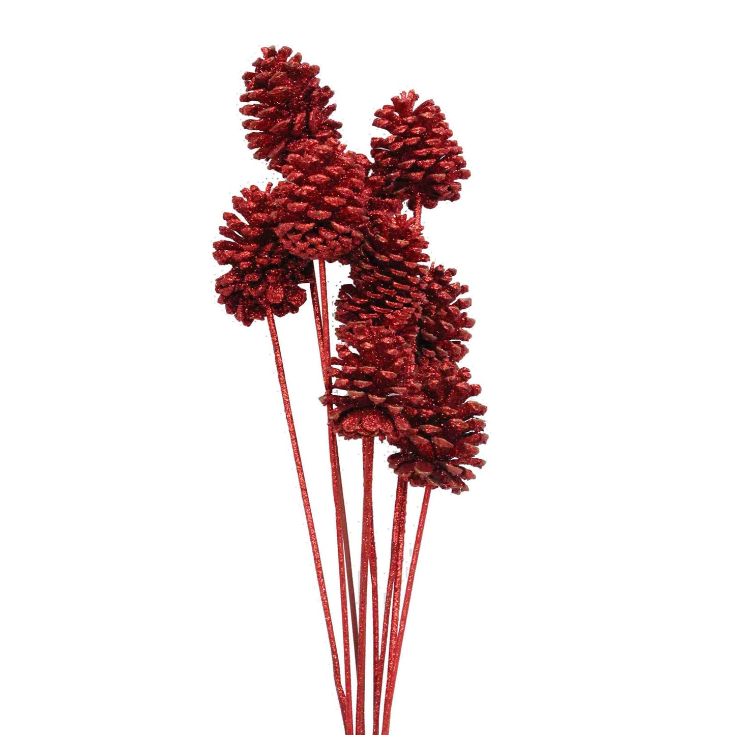 pine cones regular - 10 stem - red glitter