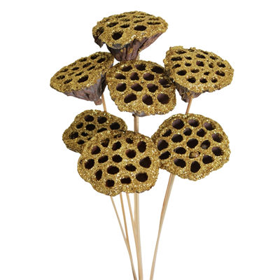 lotus pods - 7 stem - gold glitter