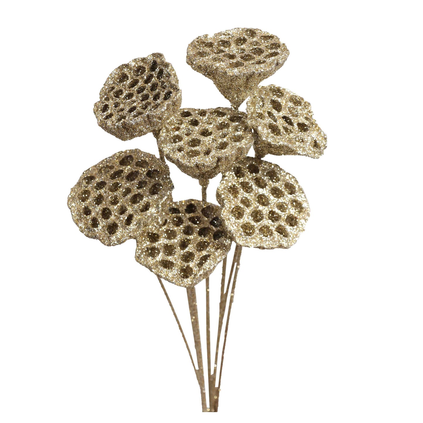 lotus pods - 7 stem - champagne glitter