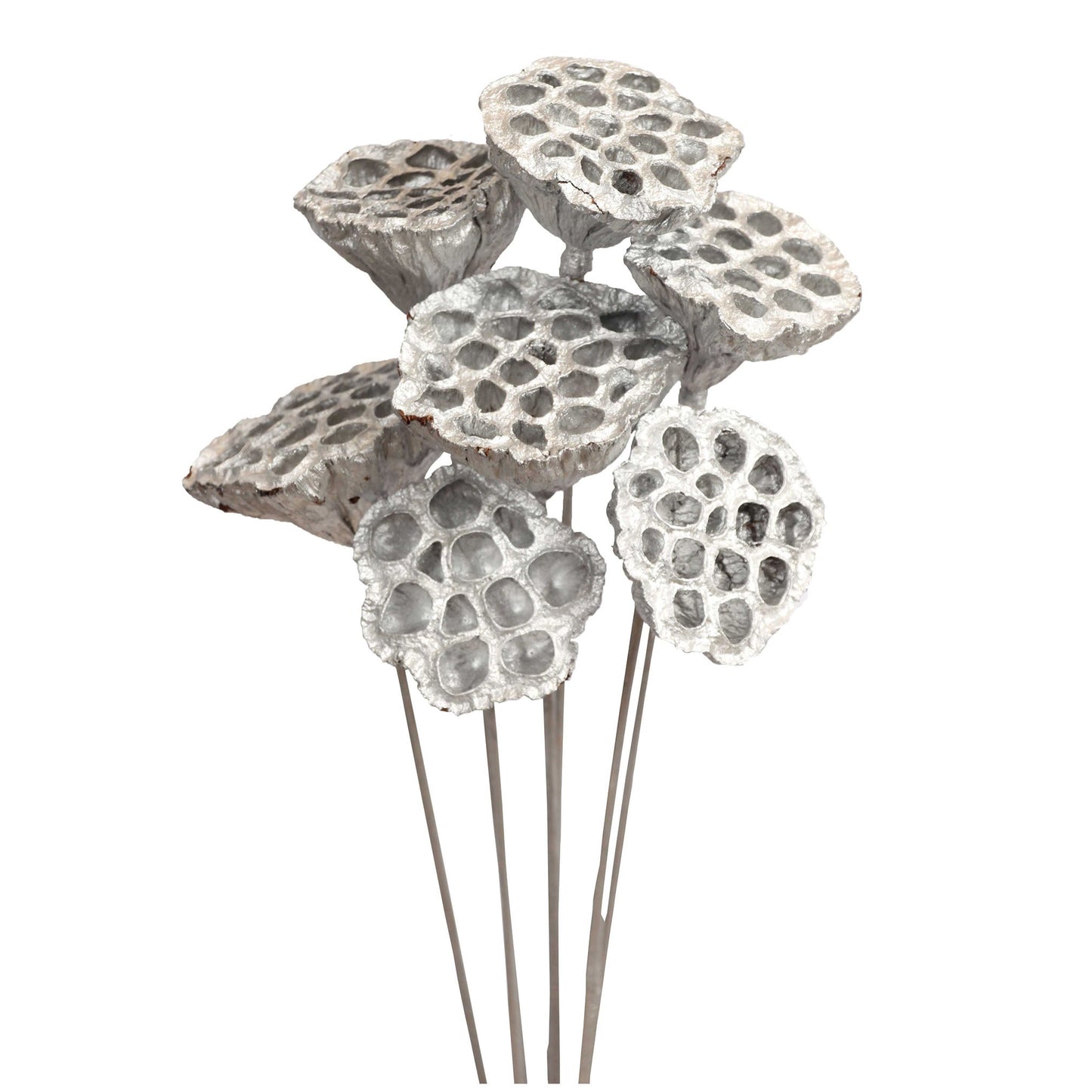 lotus pods - 7 stem - silver metallic