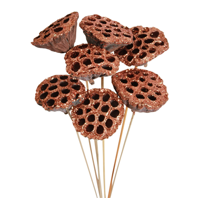 lotus pods (7 stem) copper glitter