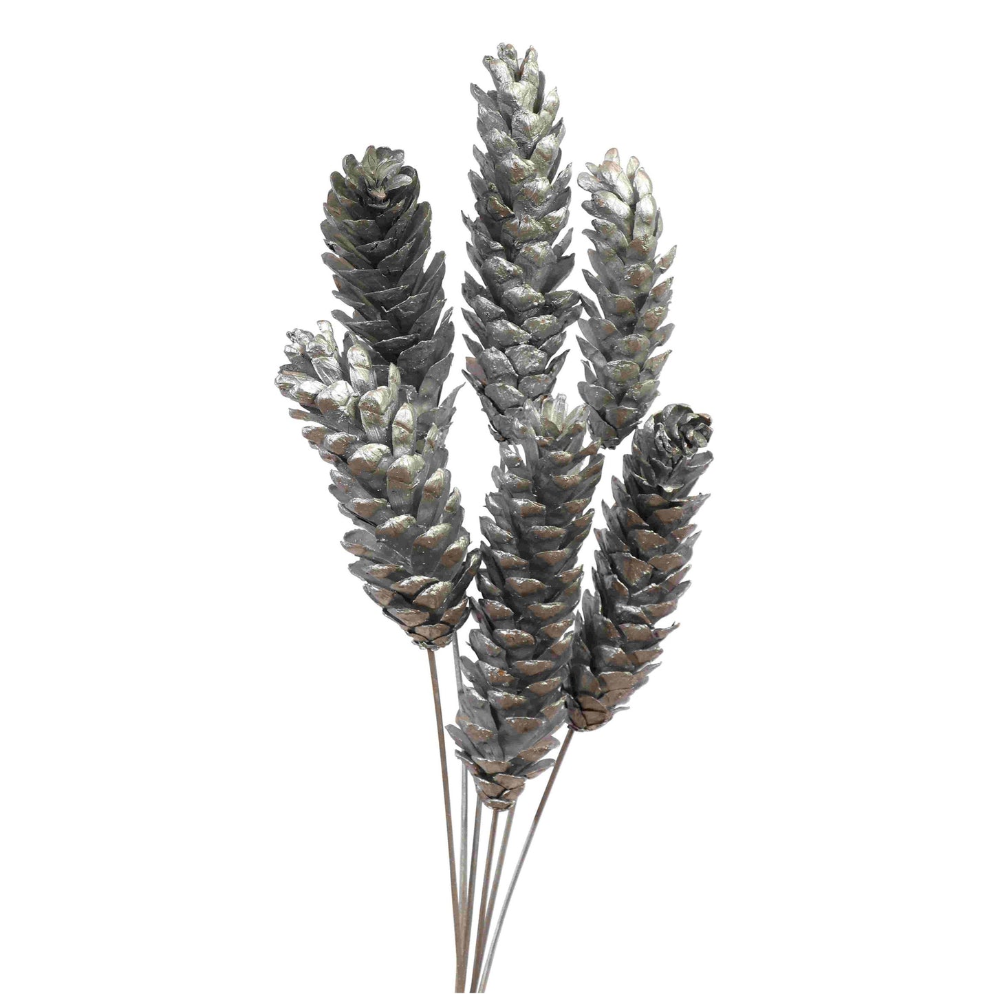 strobus pine cones - silver metallic - bulk - 120/case