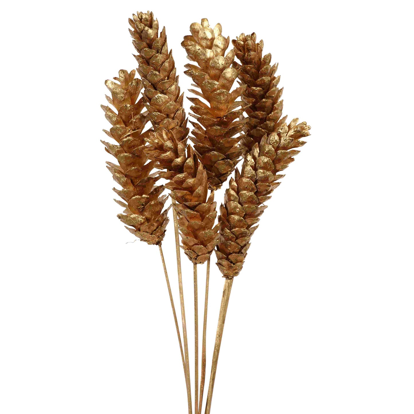 strobus pine cones - copper metallic - bulk - 120/case