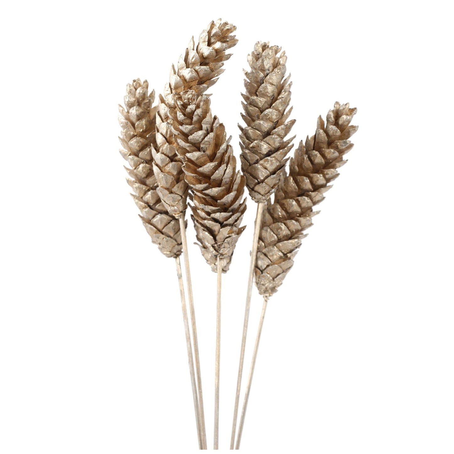 pine cones strobus - 6 stem - champagne metallic