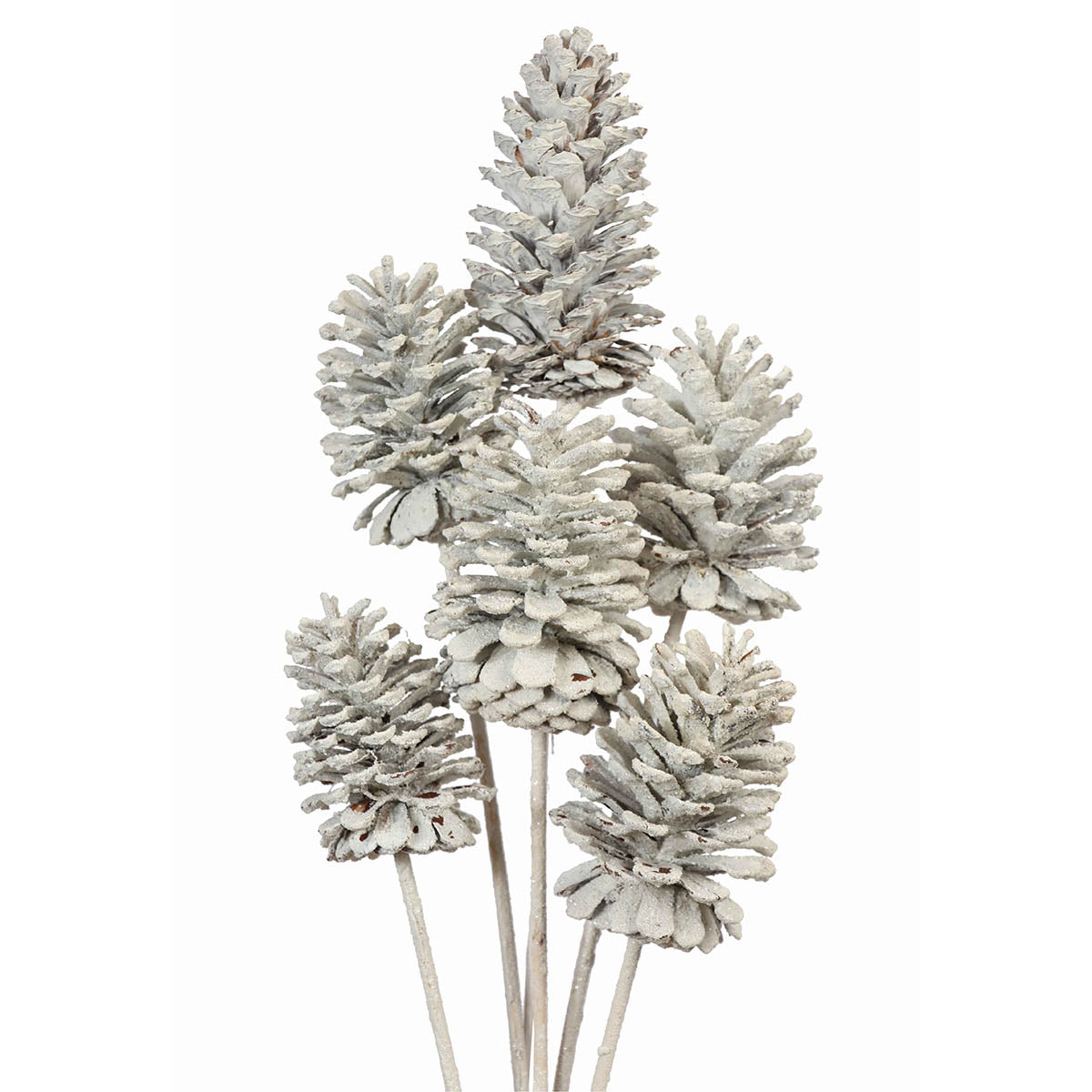 pine cones large 10-15cm - stem - white glitter - bulk - 100/case