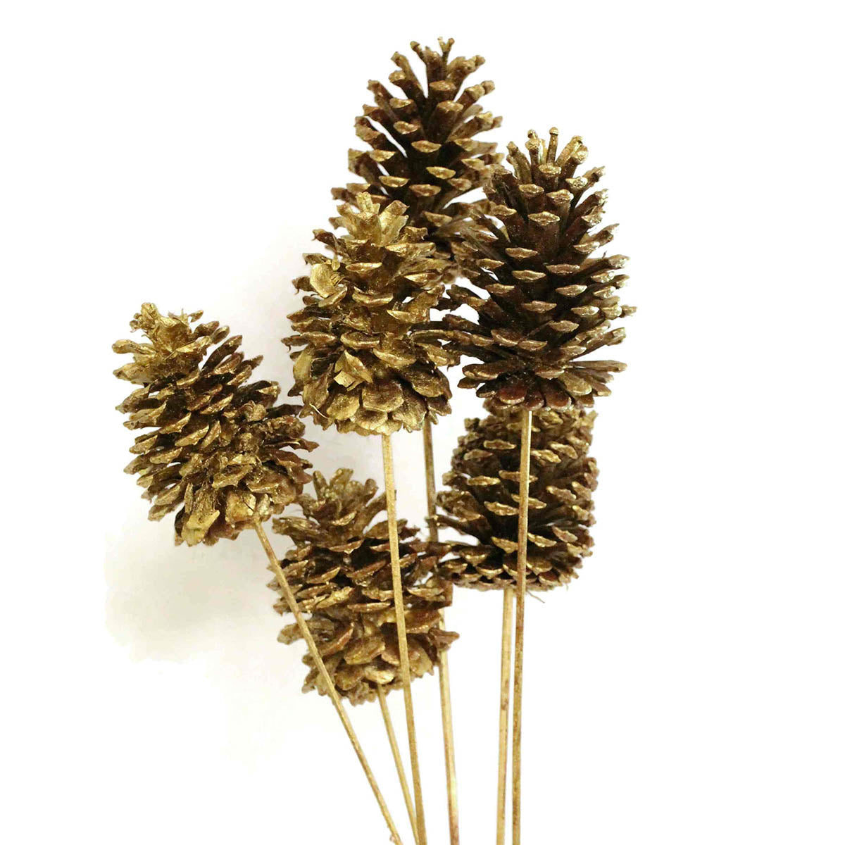 pine cones large 10-15cm - stem - gold metallic - bulk - 100/case