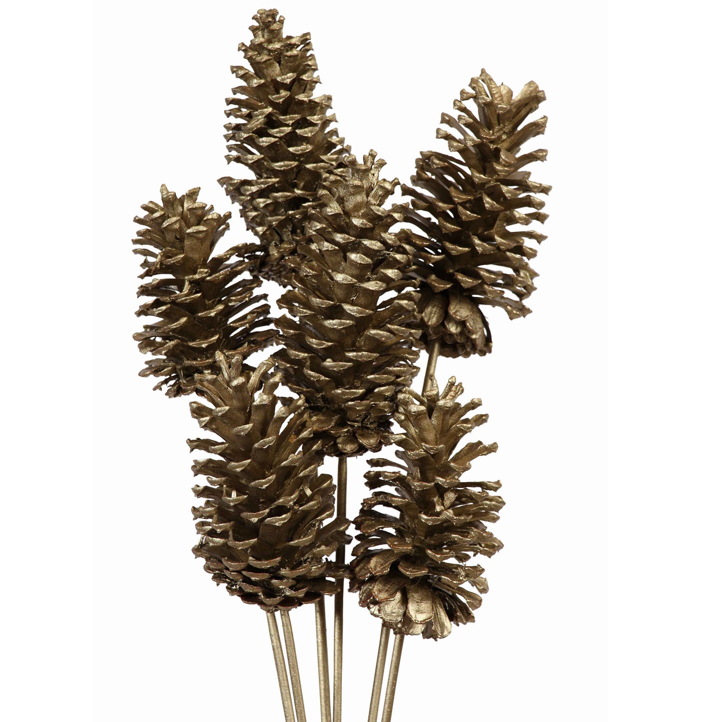pine cones large - 6 stem - champagne metallic