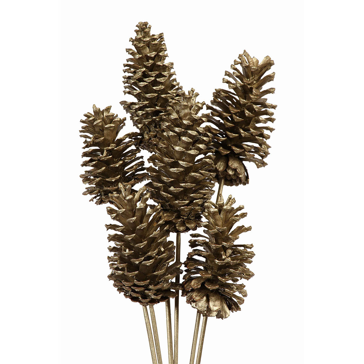 pine cones large 10-15cm - stem - champagne metallic - bulk - 100/case
