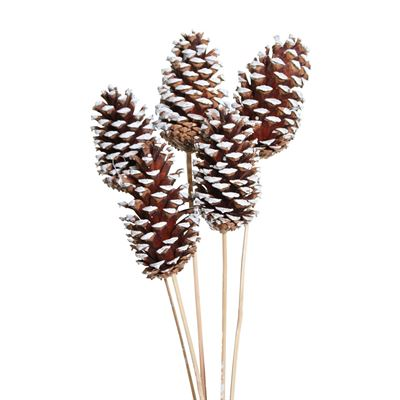 pine cones large - 6 stem - white tip