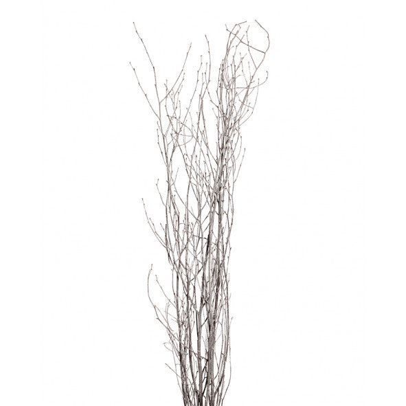 birch branches - white wash