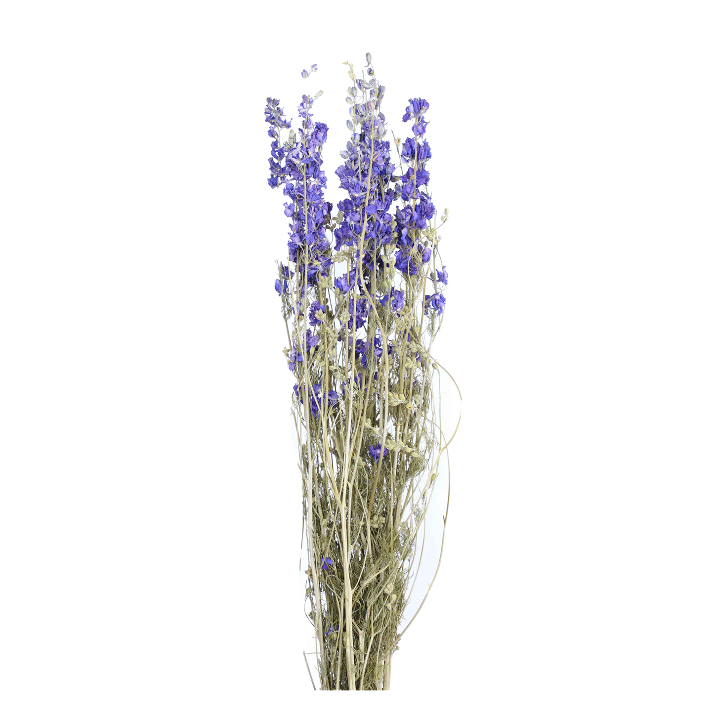 larkspur - natural blue