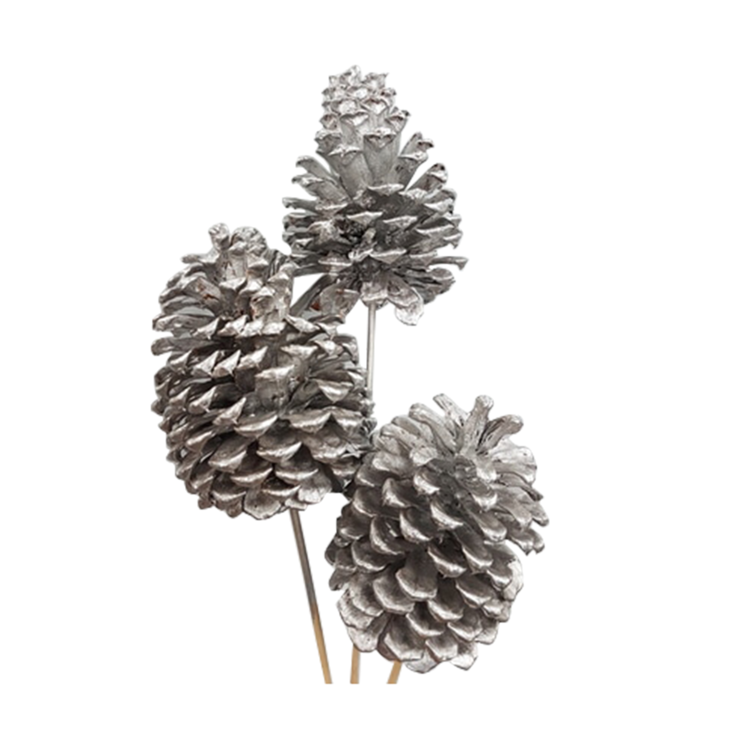 jeffrey pine cones x-large - 3 stem - silver metallic