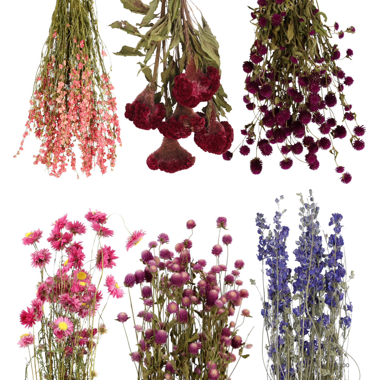 field flower mixed case - pink + purple