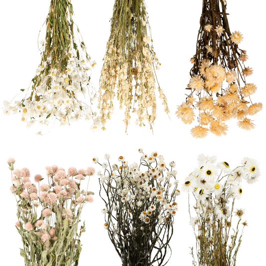 field flower mixed case - white