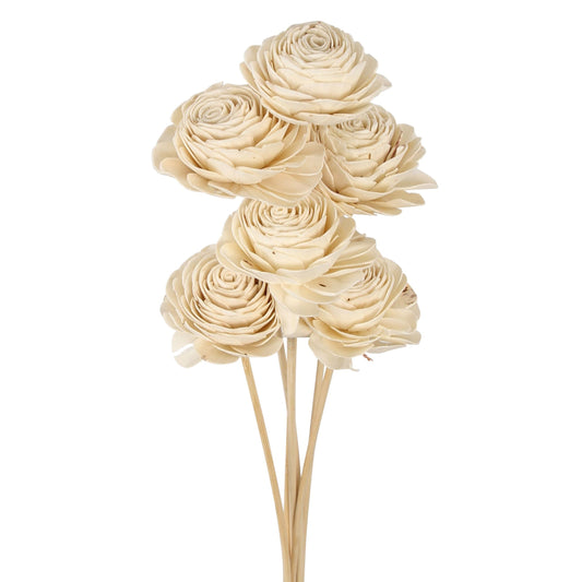 sola beauty rose - 10cm - natural