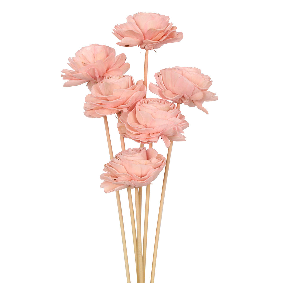 sola beauty rose - 10cm - pink - bulk - 85/case