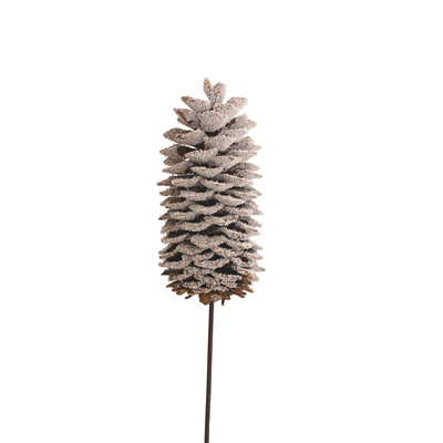 sugar pine cones - 1 stem - snow