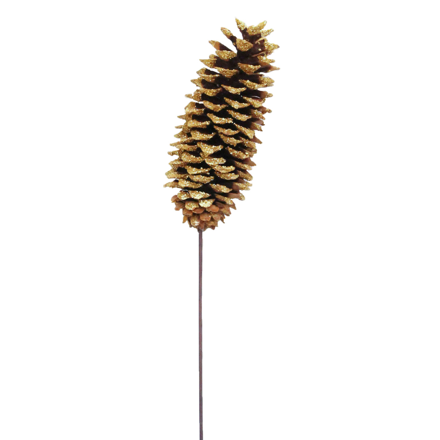 sugar pine cones - 1 stem - gold glitter