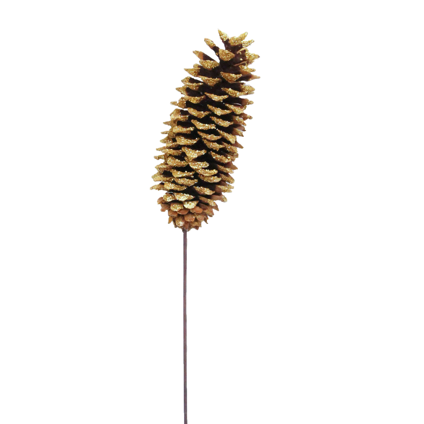 sugar pine cones - gold glitter - bulk - 30/case