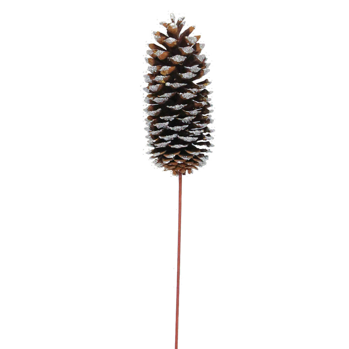sugar pine cones - silver glitter - bulk - 30/case