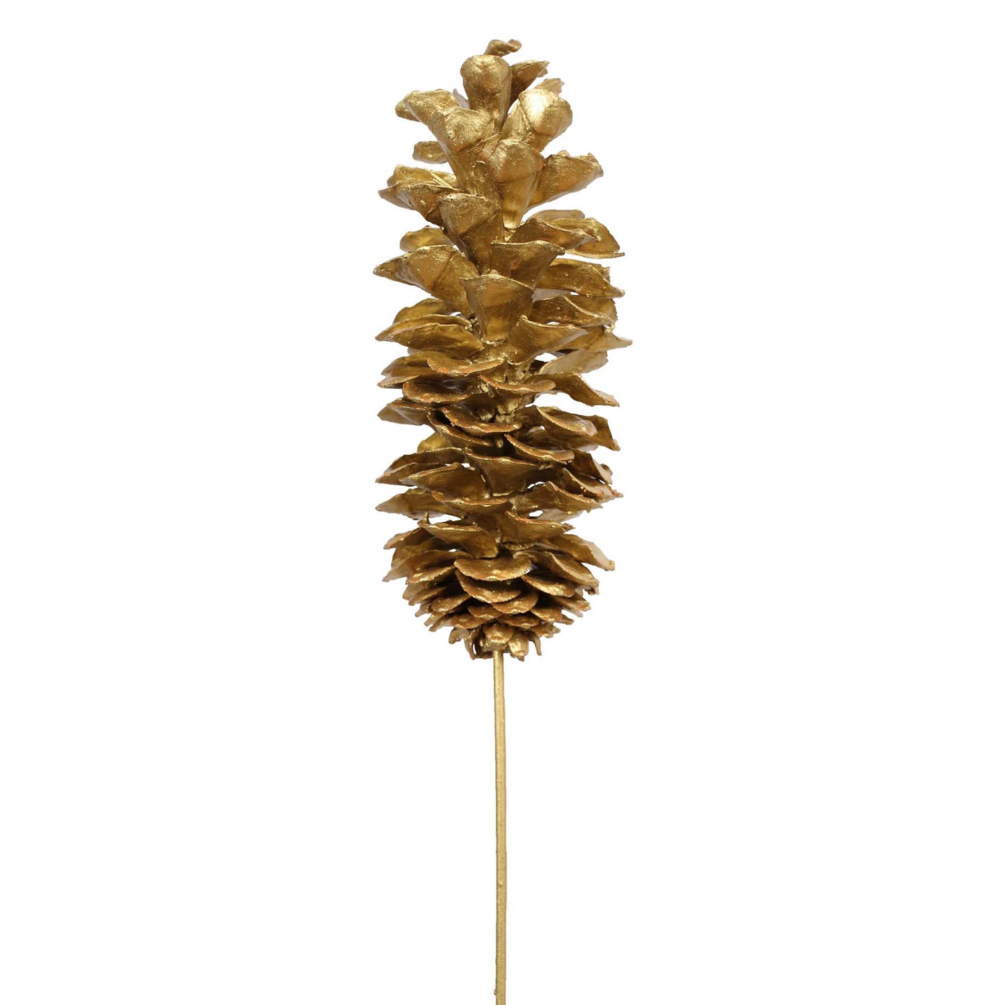 sugar pine cones - gold metallic - bulk - 30/case