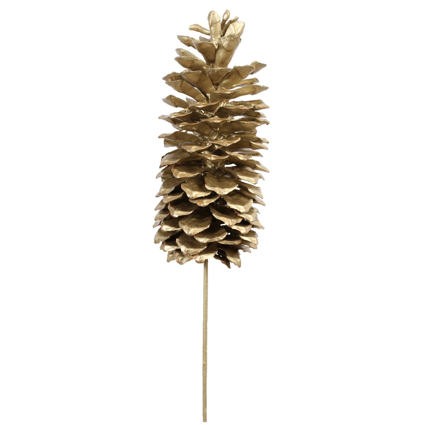 sugar pine cones - 1 stem - champagne metallic