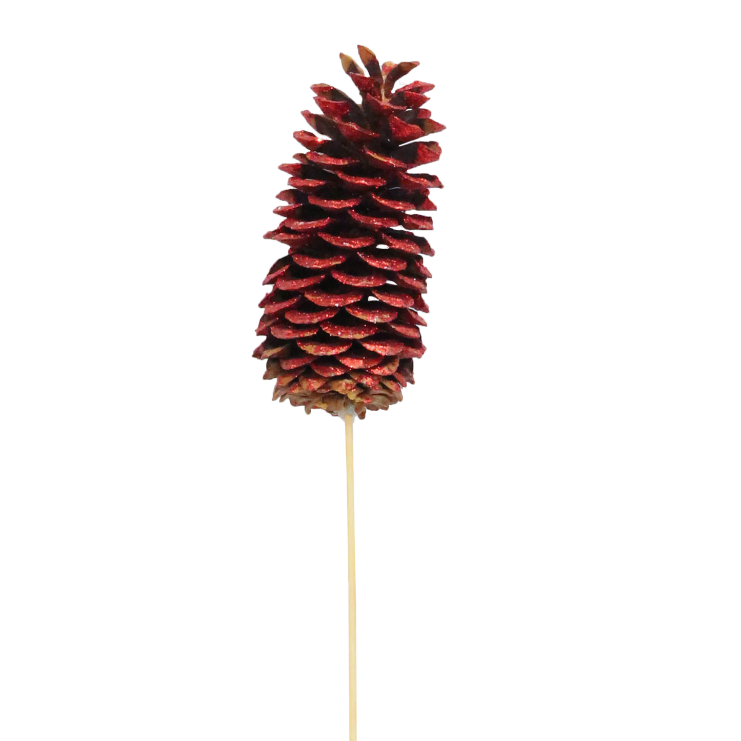 sugar pine cones - 1 stem - red glitter