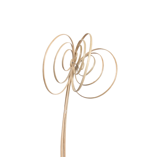 jumbo cane circles - 3 stem - natural