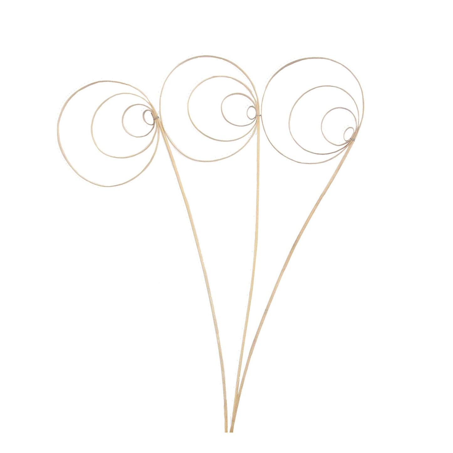 jumbo cane circles - 3 stem - frosted glitter