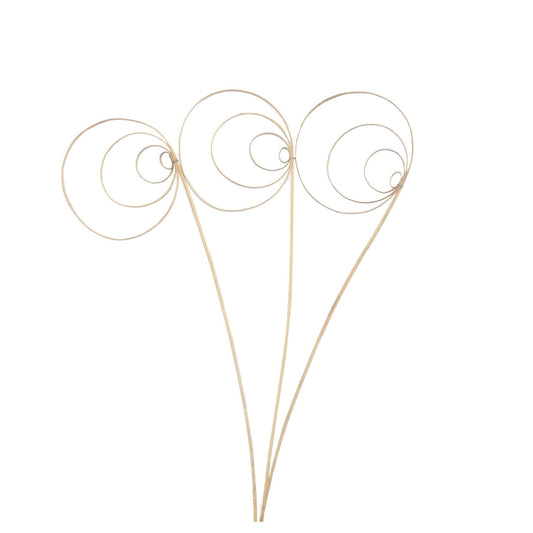 jumbo cane circles - frosted - bulk - 150/case