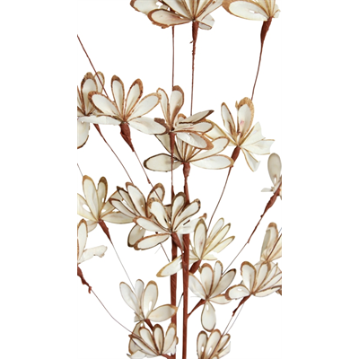 balsa sunburst spray - white/natural