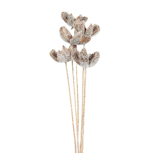 bullet flowers - 5 stem -  snow