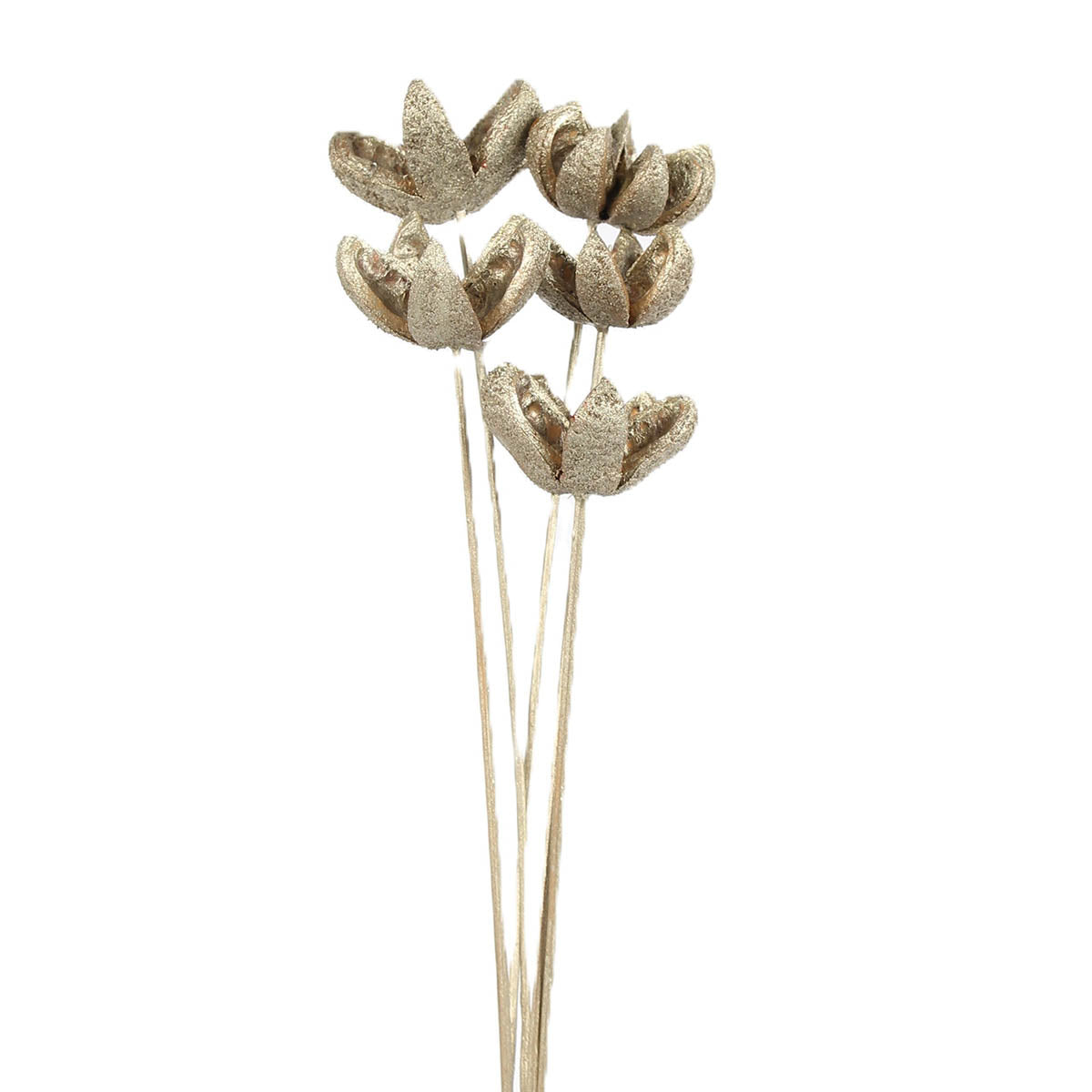 bullet flowers - 5 stem - champagne metallic