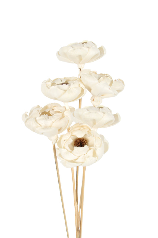 sola flora lily - natural