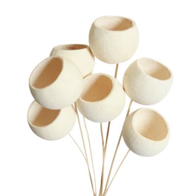 bell cups - stem - bleach - bulk - 125/case