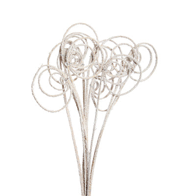 cane circles - snow - bulk - 300/case