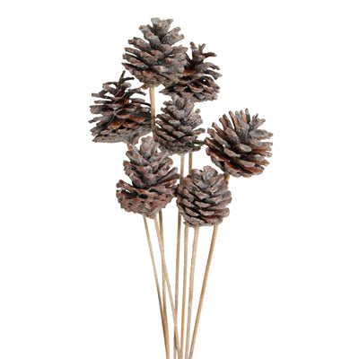 pine cones regular - stem - frosted glitter - bulk - 300/case