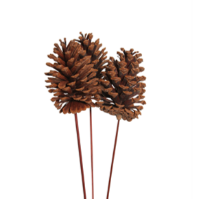 pine cones large - 3 stem - natural