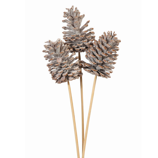 pine cones large - 3 stem - snow