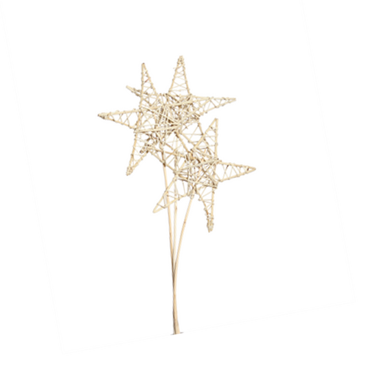 jumbo lata star - 20cm - 3 stem - natural
