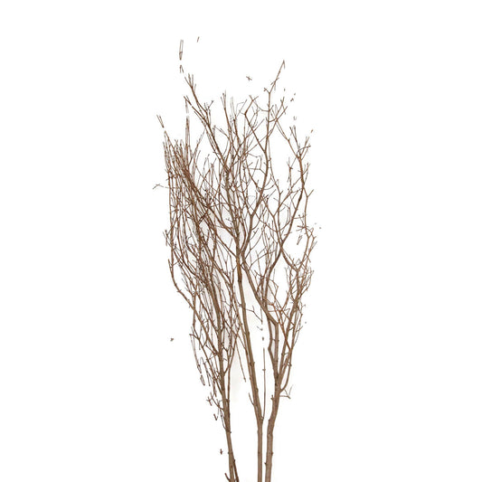 jay branches - natural - bulk - 200/case