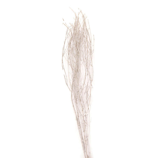 jay branches - 36in - white wash