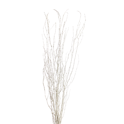 jay branches - 36in - champagne glitter