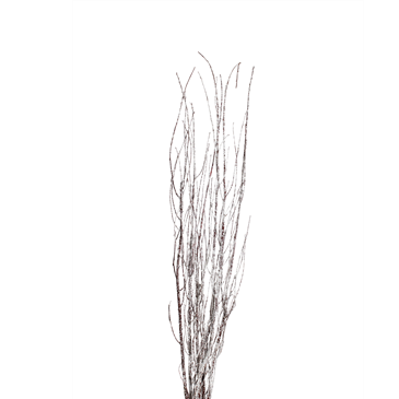 jay branches - 36in - snow