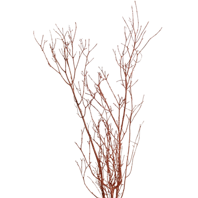 jay branches - 36in - copper glitter