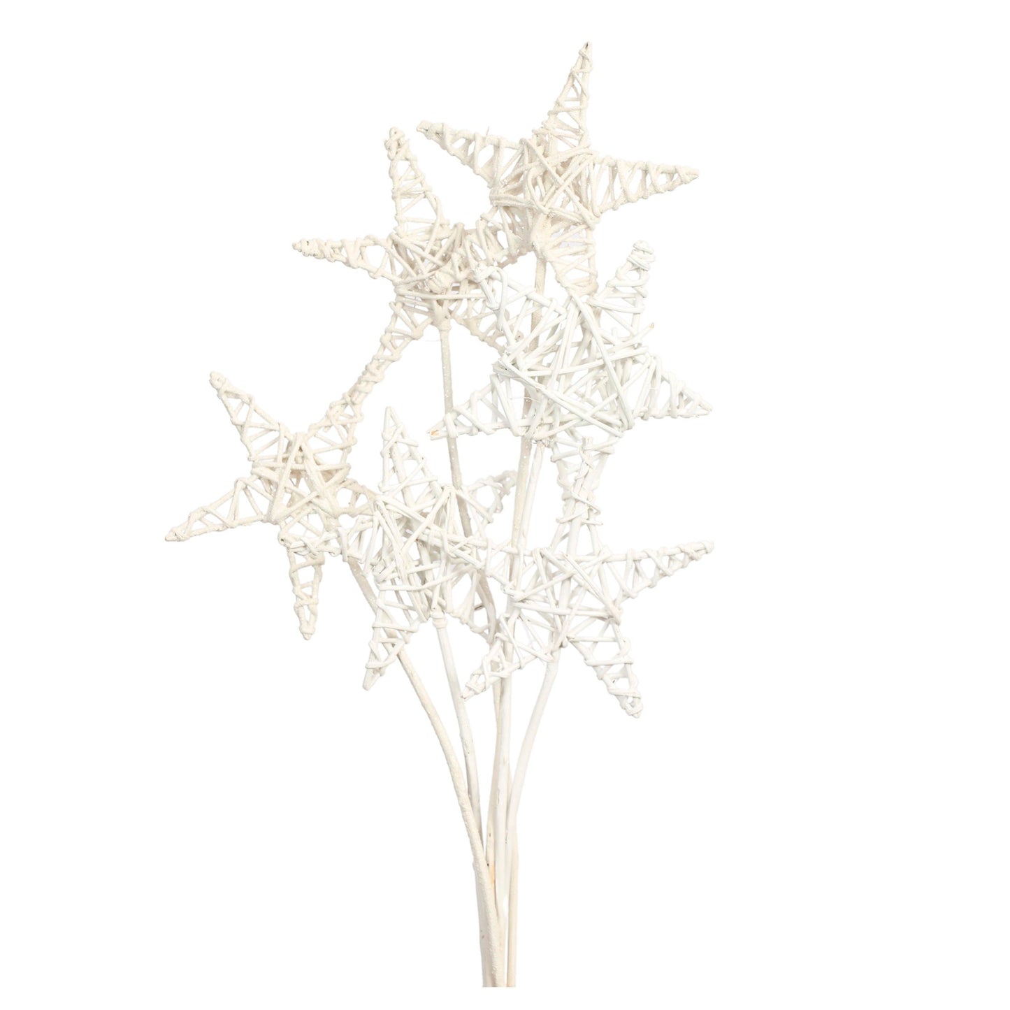 lata star 15cm (6 stem) white glitter